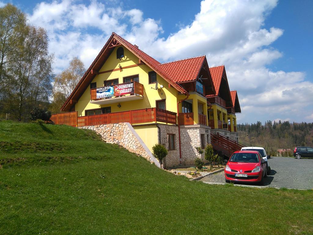Pensjonat Zielone Wzgorze Boleslawow Stronie Slaskie Luaran gambar